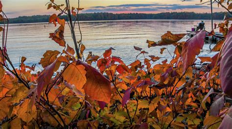 Lake View Photograph By Randall Branham Fine Art America