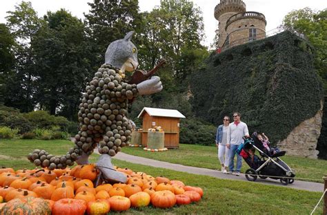 Sie setzen sich für eine generelle freigabe ein. Die Kürbisausstellung im Blühenden Bariock in Ludwigsburg ...