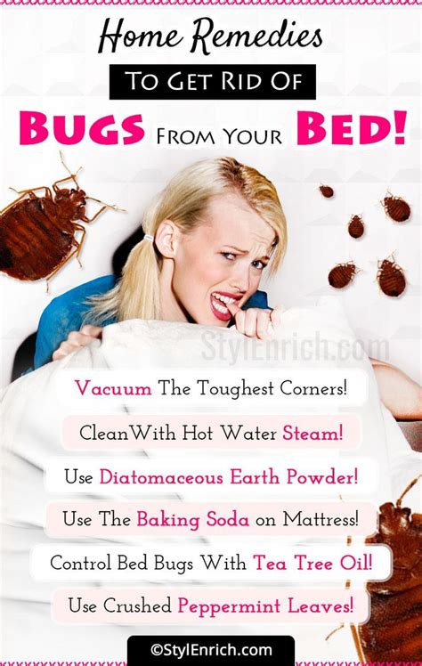 Home Remedies To Get Rid Of Bed Bugs Permanently Rid Of Bed Bugs