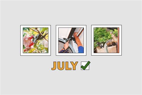 Advice 8 Tasks For Your July Home Maintenance Checklist Precious