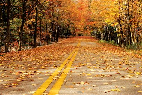 Scenic Route Hit The Road For Fall Foliage Btv Magazine