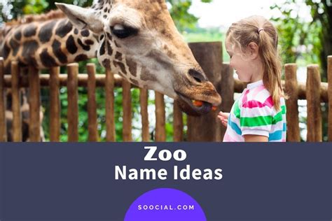 257 Creative Zoo Name Ideas To Attract Visitors Soocial