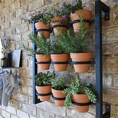 10 Outdoor Wall Hanging Plants