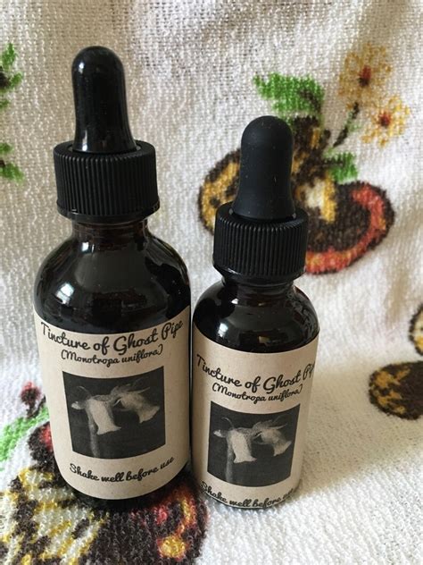 Ghost Pipe Tincture Etsy