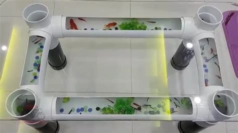Ingin tahu bagaimana cara menghias aquarium unik? Cara membuat aquarium meja yang cantik dari pipa pvc - YouTube
