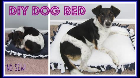 Step By Step No Sew Diy Dog Bed Youtube