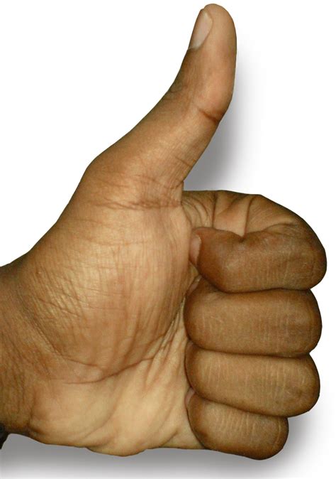 Filethe Thumbs Up Position Wikipedia