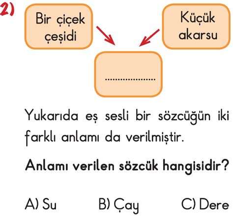 2. Sınıf Türkçe Sesteş (Eş Sesli) Kelimeler Testi Çöz - Test Çöz