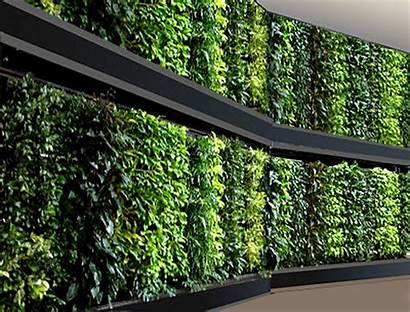 Vertical Garden System Planting Network Technic Malaysia
