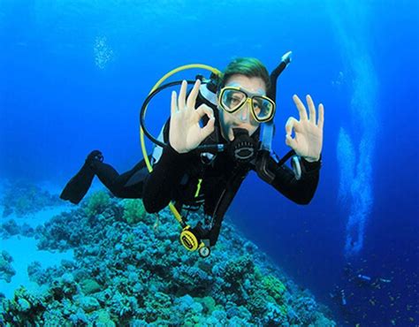Scuba Diving In Split Croatia Diving Center Pelican Tours