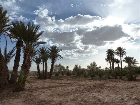 Sahara desert travel information facts location best time to. Multitasker: Down in the Moroccan sub-Saharan desert