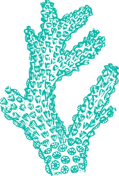 Teal Coral Clip Art At Vector Clip Art Online