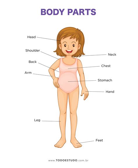 Parte Do Corpo Ingles