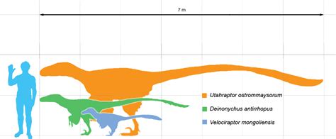 The Natural World Top 10 Favorite Dinosaurs By Zack Neher