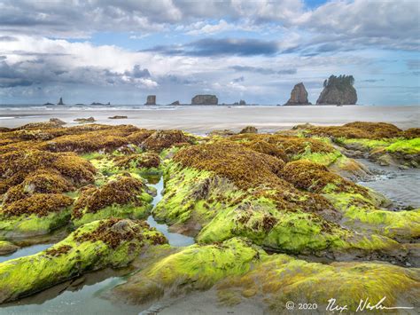 Emerald Isle - Rex Naden Photography