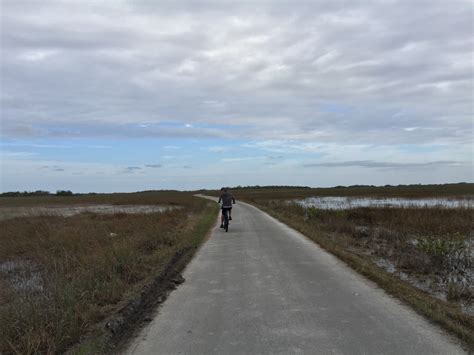 Shark Valley Biking In The Everglades Of South Florida Is A Great