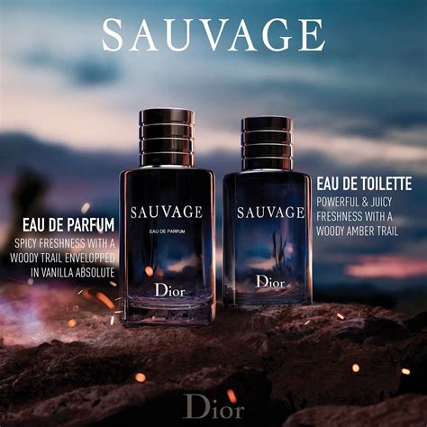 Sauvage Eau De Toilette Dior Sephora Fragrance Fragrance