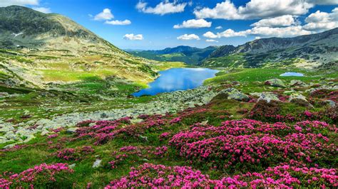 Download Windows 10 Wallpapers (4K) Just Released by Microsoft