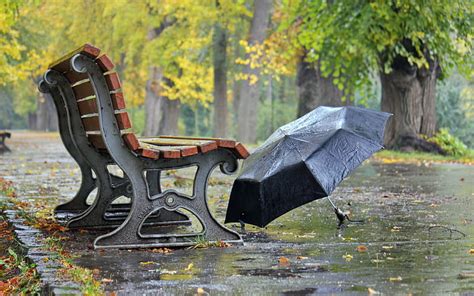 1920x1080px 1080p Free Download Rainy Day Autumn Bench Umbrella Bonito Park Rainy