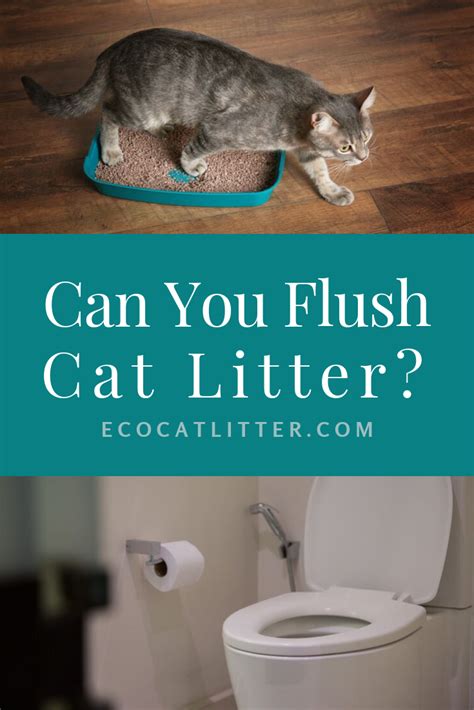 Petnf tofu cat litter,natural flushable kitten litter unscented,ultra clumping plant litter for cat, pea flavor and activated charcoal double shot deodorization,zero dust,low tracking,biodegradable. Can you really flush cat litter? To flush or not to flush ...