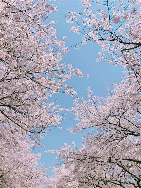 We did not find results for: App Icon Pastel Blue Aesthetic | Landscape wallpaper ...