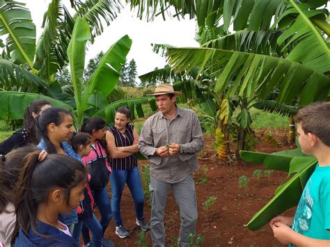 Um Agricultor Financiou Junto A Uma Cooperativa