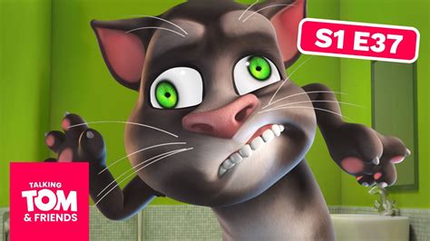 Animated Series Talking Tom And Friends