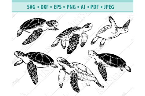 Turtle Svg, Sea turtle svg, Turtle Clipart, Png, Dxf, Eps (539439