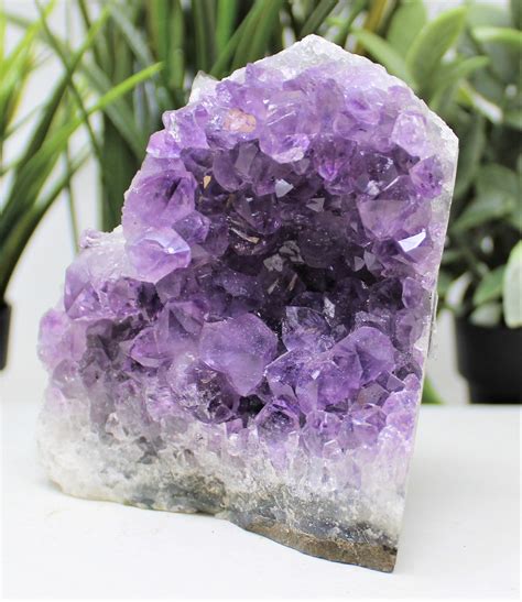 Stunning Very Large Amethyst Cut Base Clusters Crystal