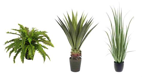 While it's easier than ever to buy live plants online, sometimes, despite our best intentions, those live plants become, well, dead plants. Artificial Plants | Buy Quality Artificial Plants ...