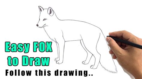 How To Draw A Fox Sketch Step By Step Simple Fox Drawing For