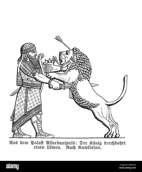 Assyrian King Ashurbanipal Kills A Lion In Ritual Lion Hunts Reserved