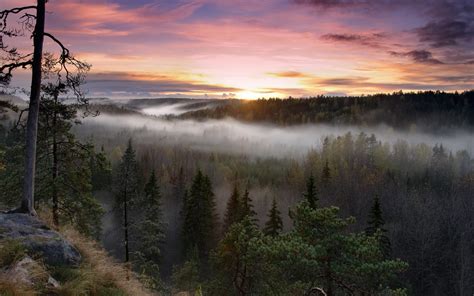 Fondos De Pantalla 3360x2100 Px Nubes Otoño Finlandia Bosque