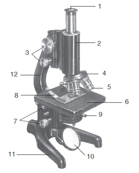 Mikroskop Mengenal Bagian Dan Fungsi Mikroskop Dan Cara Menggunakannya