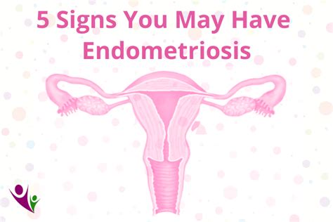 5 signs you may have endometriosis dr neeta misra