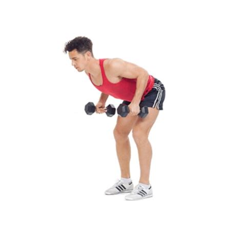 Back Dumbbells Bent Over Row By Saranyapong T Exercise How To Skimble