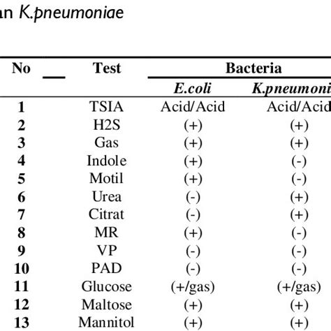 The Result Of Biochemical Test For Li Download Scientific Diagram