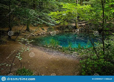 Ochiul Beiului Lake Fom Nera Gorges National Park Stock Image Image