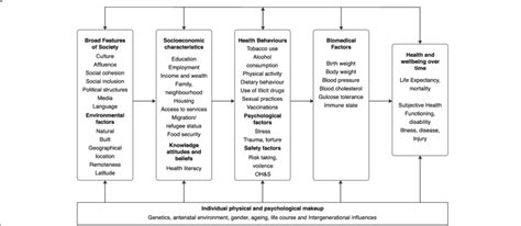Conceptual Framework For Determinants Of Health Download Scientific