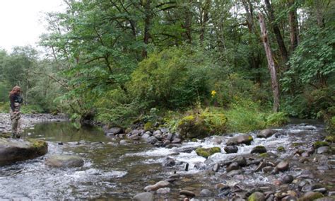 Salmon River Oregon Fly Fishing, Camping, Boating - AllTrips