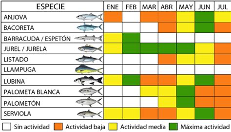 Calendario De Pesca Por Especies Mediterraneo Surfcasting Pesca