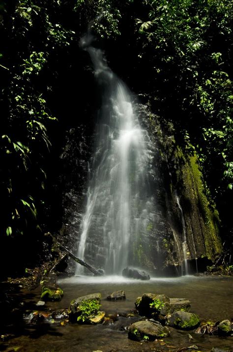 Parque Nacional Tingo María y Santuario Histórico Bosque de Pómac dos