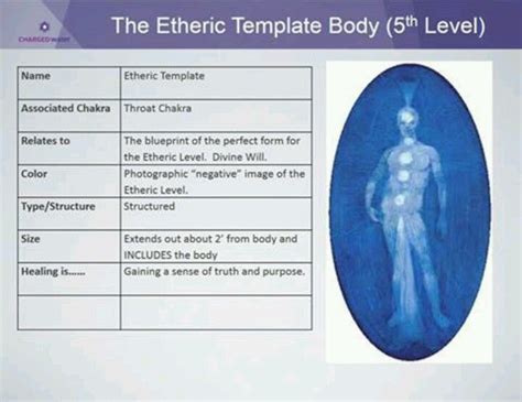 Etheric Template Body Energy Healing Reiki Reflexology Pressure