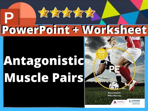 Aqa Gcse Pe Antagonistic Muscle Pairs Teaching Resources