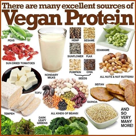 The Most Satisfying Vegetarian Foods High In Protein Easy Recipes To Make At Home