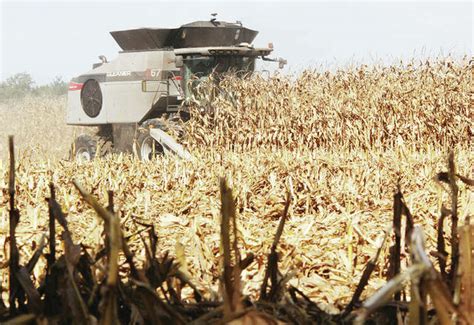 Year Ending Well For Corn Soybean Farmers