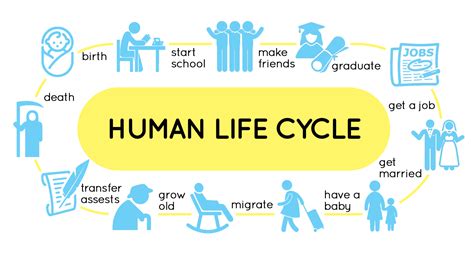 Life Cycle Training Global Humane Organization