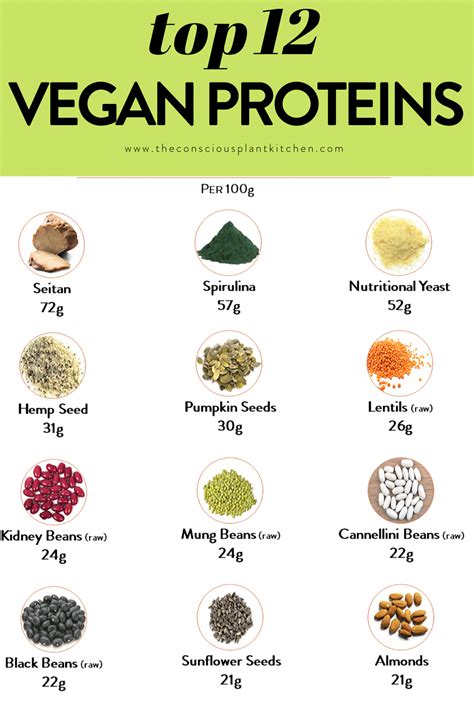 Vega greens and protein is available in berry, vanilla, and chocolate flavor, with protein courtesy of pea protein, brown rice protein, and hemp protein. Vegan protein source chart - The Conscious Plant Kitchen