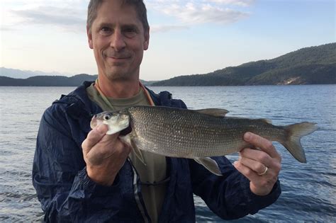 Six units of flathead lake state park provide sites for picnics, boating, sailing, fishing, hiking, camping and swimming. First Whitefish on Flathead Lake! - Montana Hunting and ...