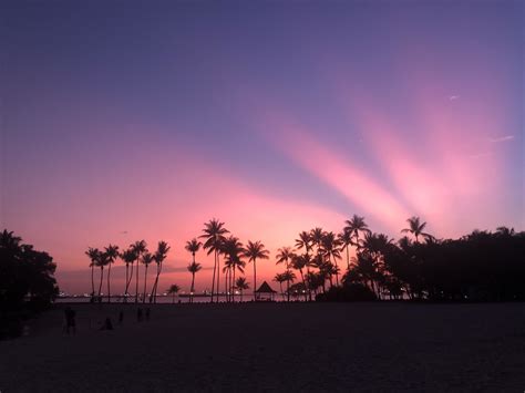 Pink And Purple Sunset With Golden Rays Spotted Around Spore Beckons A